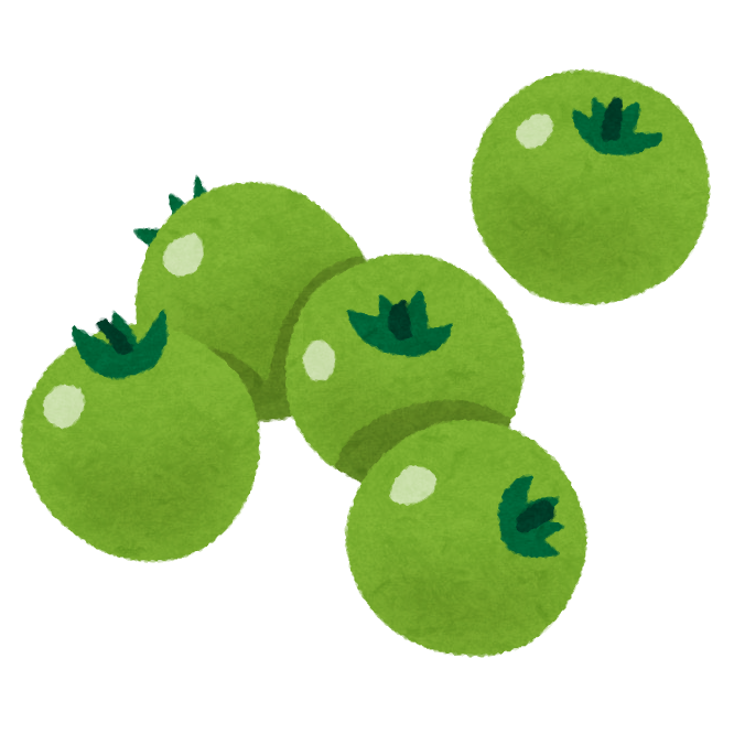 青いプチトマトのイラスト